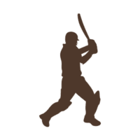 Dulwich Cricket Club is one of the leading cricket clubs in south London. We play competitive men's and women's league cricket at the highest level, and provide a healthy and progressive youth development environment, supported by top quality professional coaching.